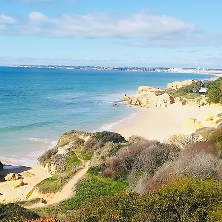 Palmeira Gale Apartmán Albufeira